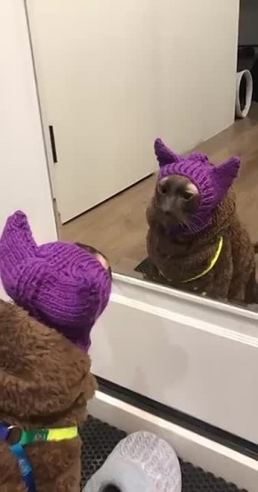 ������� �������� ��������� � ������ � ���� �����