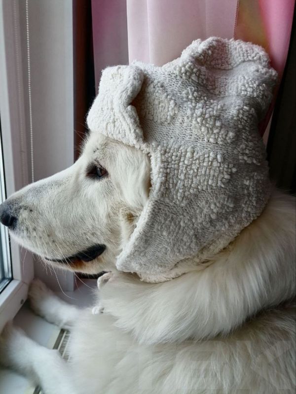 ����������� ����� ����������