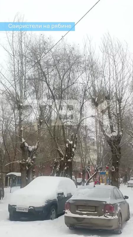 �������� ���������. �� ��� ��� ����� ���� �� ����� �� ����� ������, ����� � �� 1 ���. �� ��� ������, ����� ����� 300 ������. ������ ������, ������� �������. � ��� ��� ��� ��� �����, ��� �� ������ ������ �����)) ������...