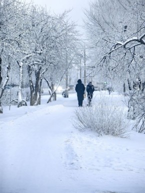 -38�C � ����� ��� �����: ������� ������ �� ������ � �����������