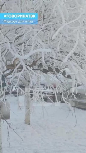 ����� ������� �� ���� ��������� � ����������� � ����� �����