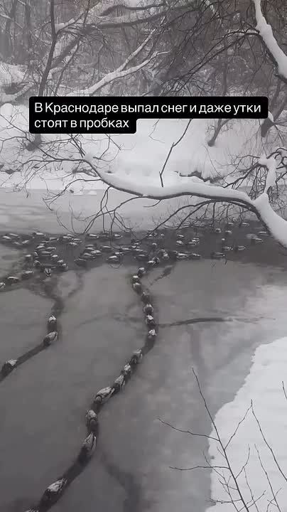 ������ �� ����. �� �����-������ ������ �����? ���