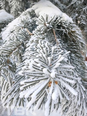 ������� � ����� ������. ������ �����, �� ��� ������� ������ ������, �������� ���������� ���