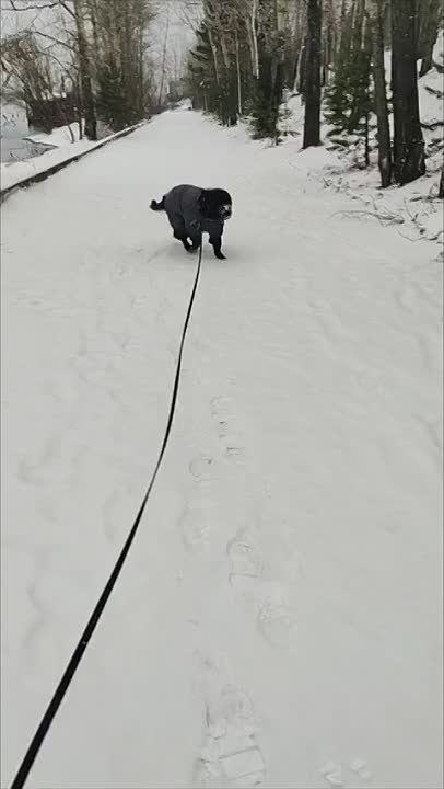 �������� ����� � ��� �������� ��� � ��� ��������� ����� ��� �� ������