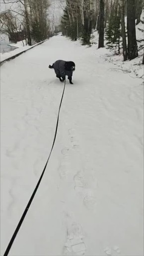 �������� ����� � ��� �������� ��� � ��� ��������� ����� ��� �� ������