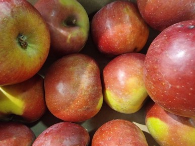 ����� �������� ��������� ������ ������ �������: ��� ������� ���� ���� ��������, ���� �� ����������� ����