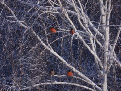 ������� � �����������. �� ���� ������� ������ ���������� ���