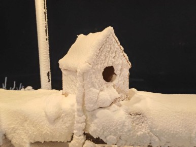 ����������, ��������� �������