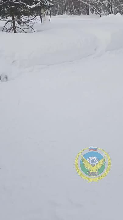 ������ ��� �������. ����� ���� �������� ���������� �������� � �������� ���� � ������ ������ ��������� �����