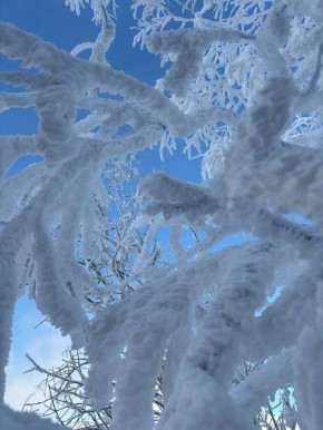 Морозной красоты вам в ленту из заказника «Красноярский»