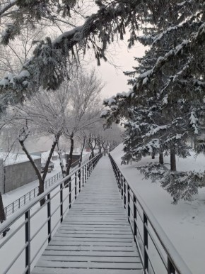 Доброе утро!. Фото: Кирилл Макаров #ВестиКрасноярск