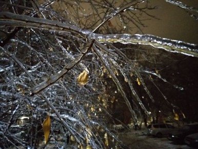 ������� �����: ��� ������ ��� �� ����������� ������ ��������