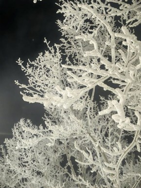 -38�C � ����� ��� �����: ������� ������ �� ������ � �����������