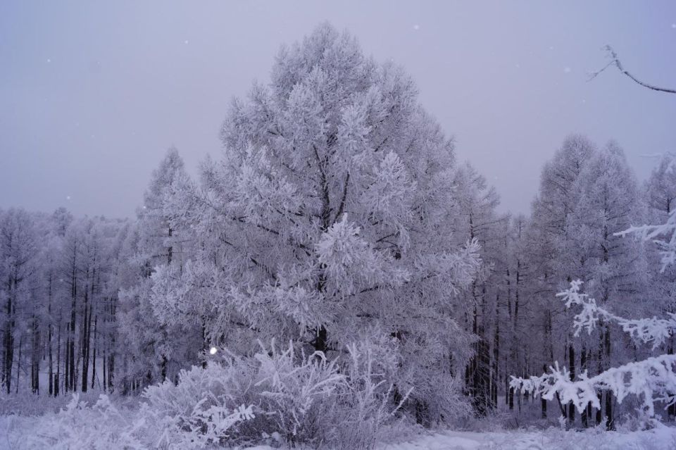 ������ ���������, ��� ������ ������� � ����!