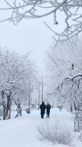 Погода на 20 января. ТВК