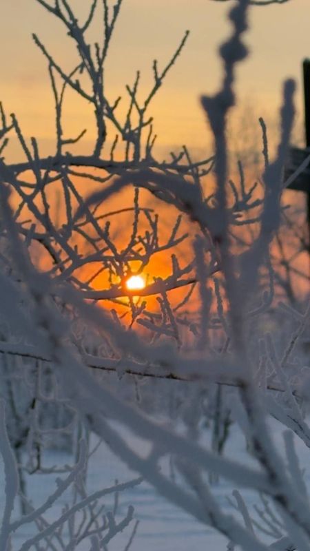 ���� ������, ���-���! ����� ������� ��������: "������, �� ��������!"�