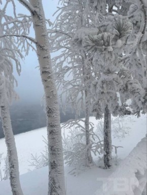 �������� ����� �������� �� ���������� ������