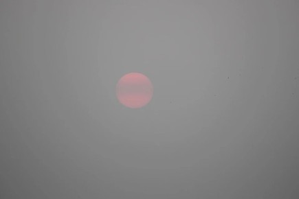 � ����������� �������� ����� �������� ����