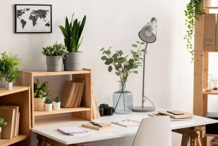 ��� ������� ��������� ������� ������������ � ������ �������� ����