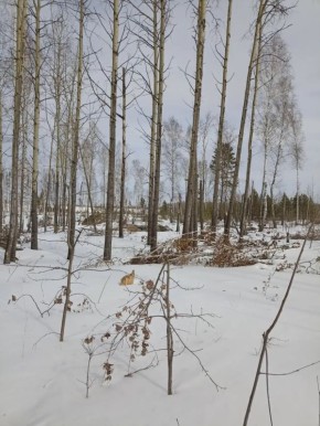 ������������ � �������: �� ���� ����������� ��� ������� ����� ������������� ��� ������ �� ������ ������� 344 �� ����������������