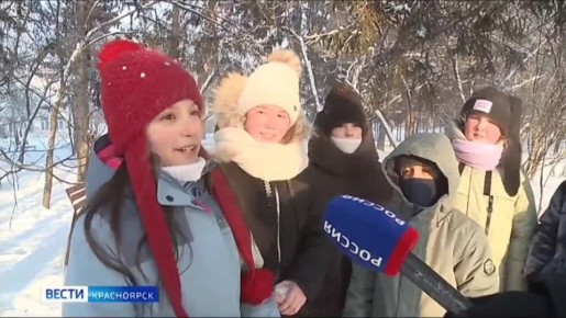 «Не забудьте покормить птиц»: с такой просьбой красноярцы обращаются друг к другу в месенджерах и социальных сетях