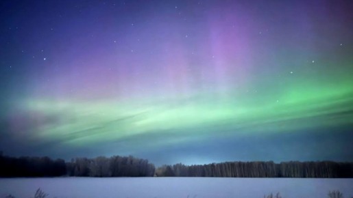 ����������, ����� �������!