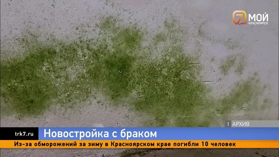 ������ ����������� �������� �������� ������