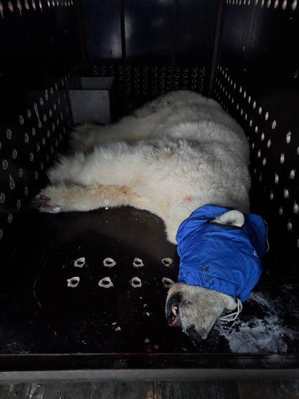 � ������ ������ ������ ��������� ��������� ������� � �������: ����� ������� ����� �� �����