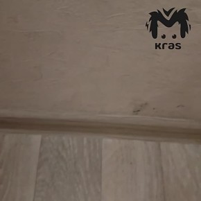 ������ ��� ������ ���� � �� "����� �������" ���������� � ������������ ���������