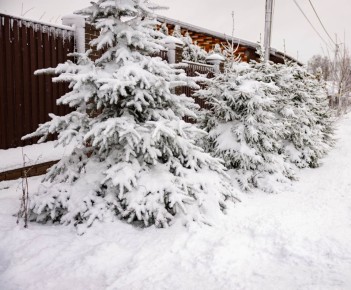 ���� ��������� ������: ��� ������ ������ �������� ��������������