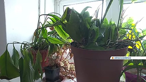 ���������� �������� �� ����� � ��������� � 30-��������� �����