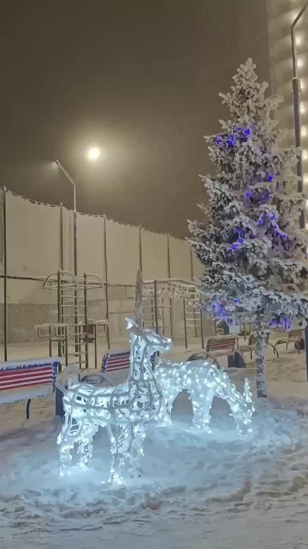 ������ �� 21 ������. ���