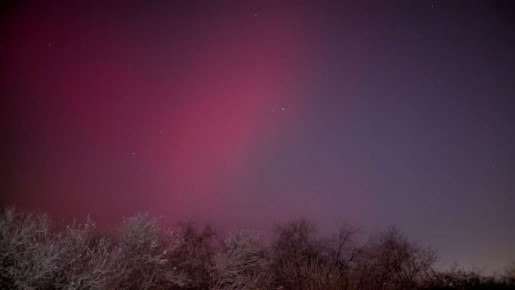 ������ ����������� ��������� �������� ������