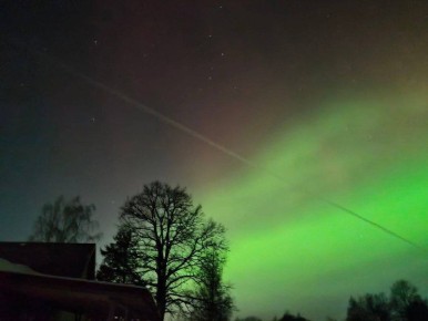 ������ ������������ ����� ������ ����������� �����