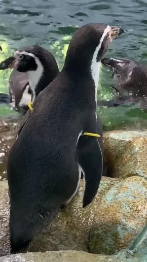 ��� ����� �������� ������� � �����!