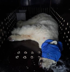 ������ �������, ��������� �� ����� �� ������ ����, �������� � ����� �������� � ���������� �������