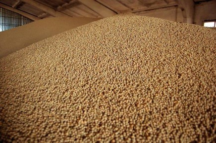 �� ������������� ���� � 2025 ���� ������� ����� ���� ��������� ���� �����