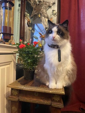 �� ����� - ���� �������������! � �����