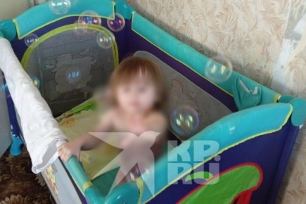 �������� - �� ������ ������: �������, ������� ���� �� �������� ������� ������ ����, ����� ����������