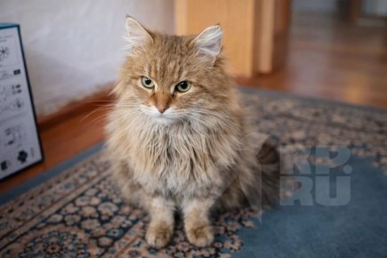 ��������� ����� - �� ������� ���� ���������!�: �����, �������� ������� �� ����� ����� ������ �������, ���� � ������ ������ ������