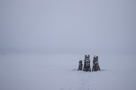 22 ������ � ����������� ������� ������������� ���� ���������� ������� �����, ����������� ������� ������� ��������� �� -45 ��������