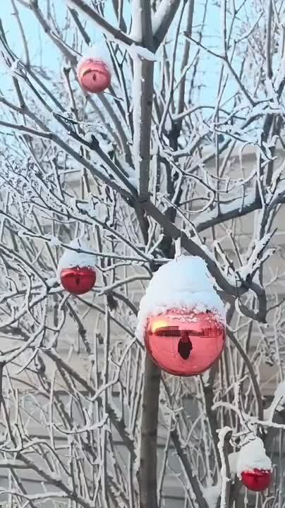 ��� ��� �������? � ���, ��������