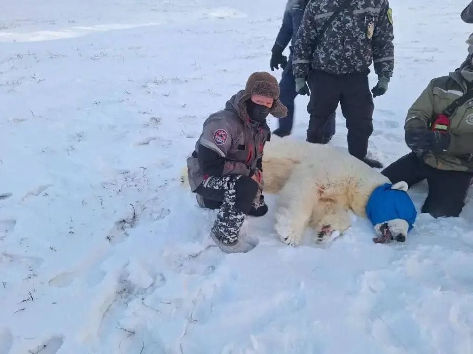 �� ������ ������������� ���� ������� �������, ������� ����� �� �������