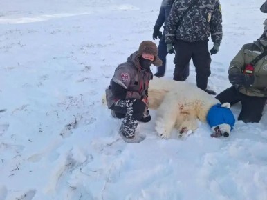 �� ������ ������������� ���� ������� �������, ������� ����� �� �������