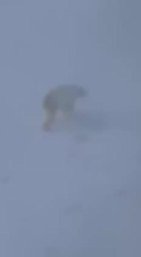 �������� � ����� ����� ��������� ������� �� �������