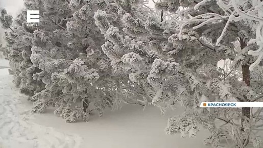 ���������� �������� ���������� ��������� ���������