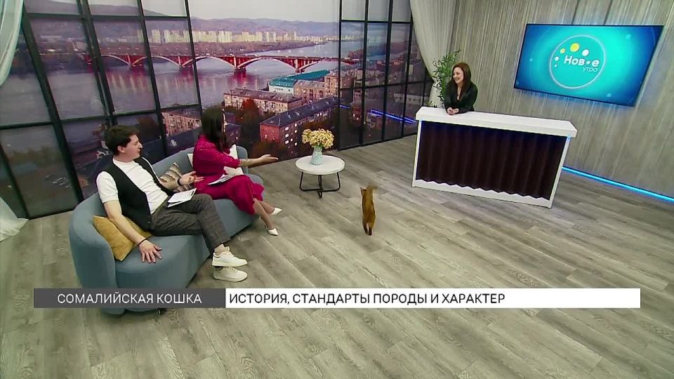 ���������� ��������, ����� ���-�� �� ������ ������ ���