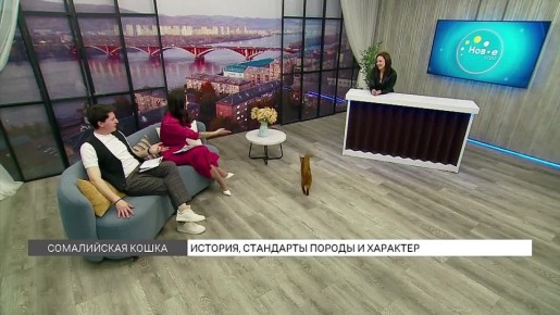 ���������� ��������, ����� ���-�� �� ������ ������ ���