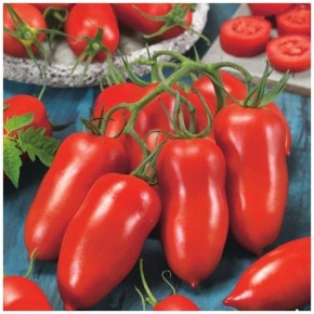 ������ ����� ������� � ��������� ����� ��� ����������� �����������?