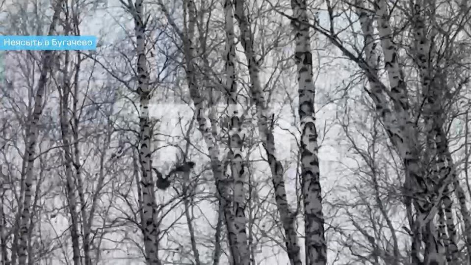 ������� ������� � ��������